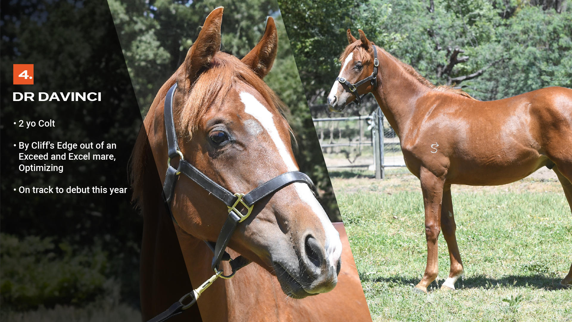 Artboard 3 copy 3rule